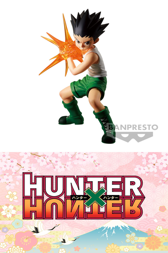 Hunter X hunter